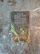 Cold War In A Country Garden - Lindsay Gutteridge