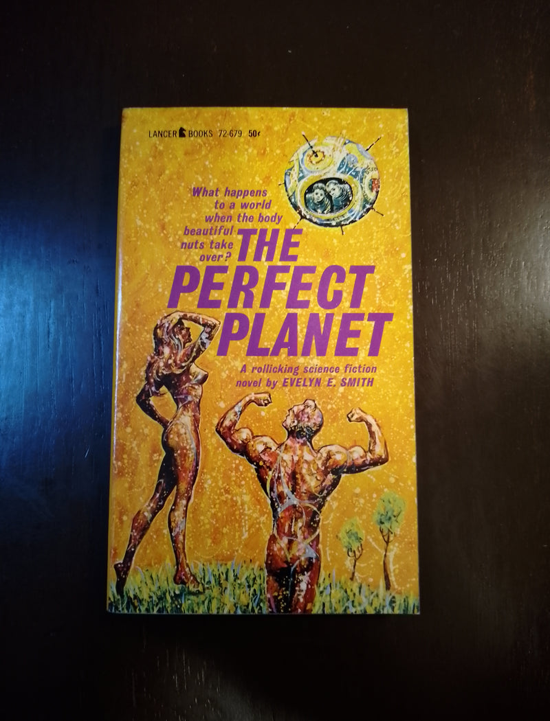 The Perfect Plan - Evelyn E. Smith