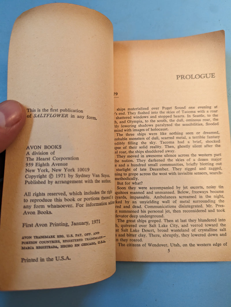 Saltflower - Sydney Van Scyoc