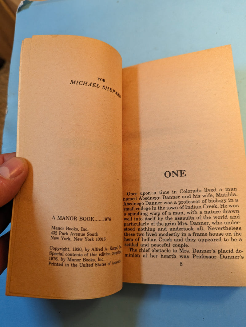 The Gladiator - Philip Wylie