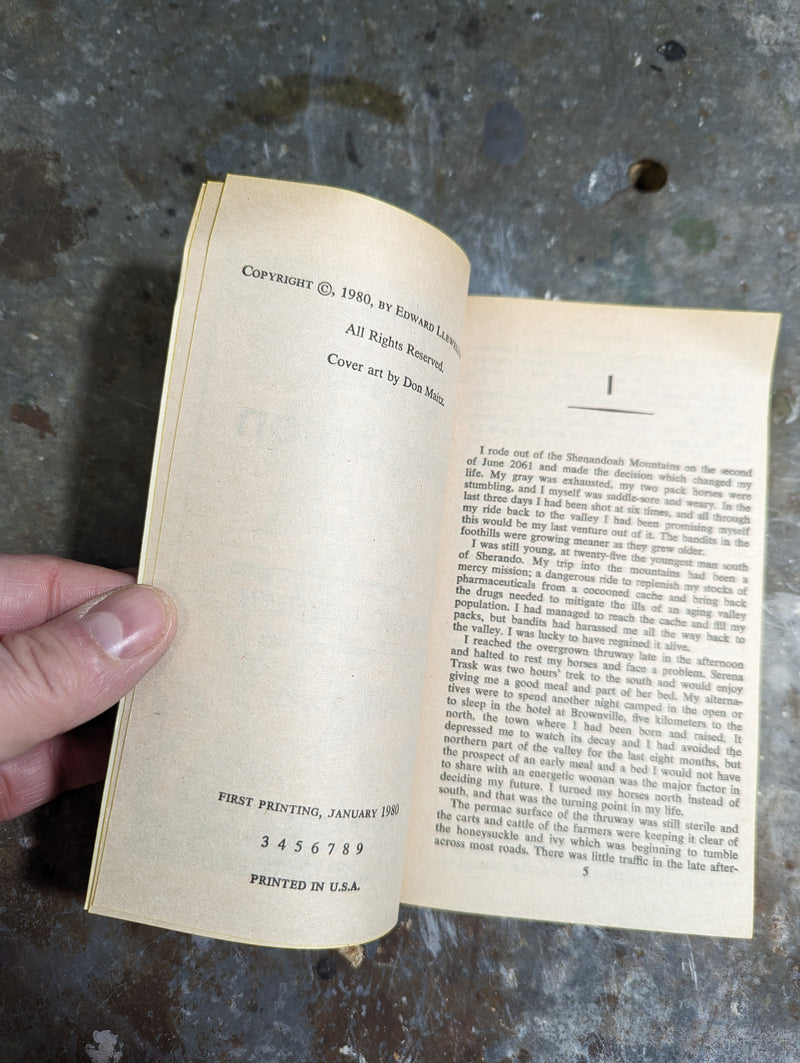 The Bright Companion - Edward Llewellyn