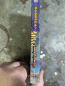 The Silver Sun - Nancy Springer