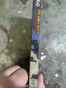 The Sable Moon - Nancy Springer