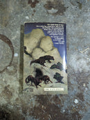 The Sable Moon - Nancy Springer